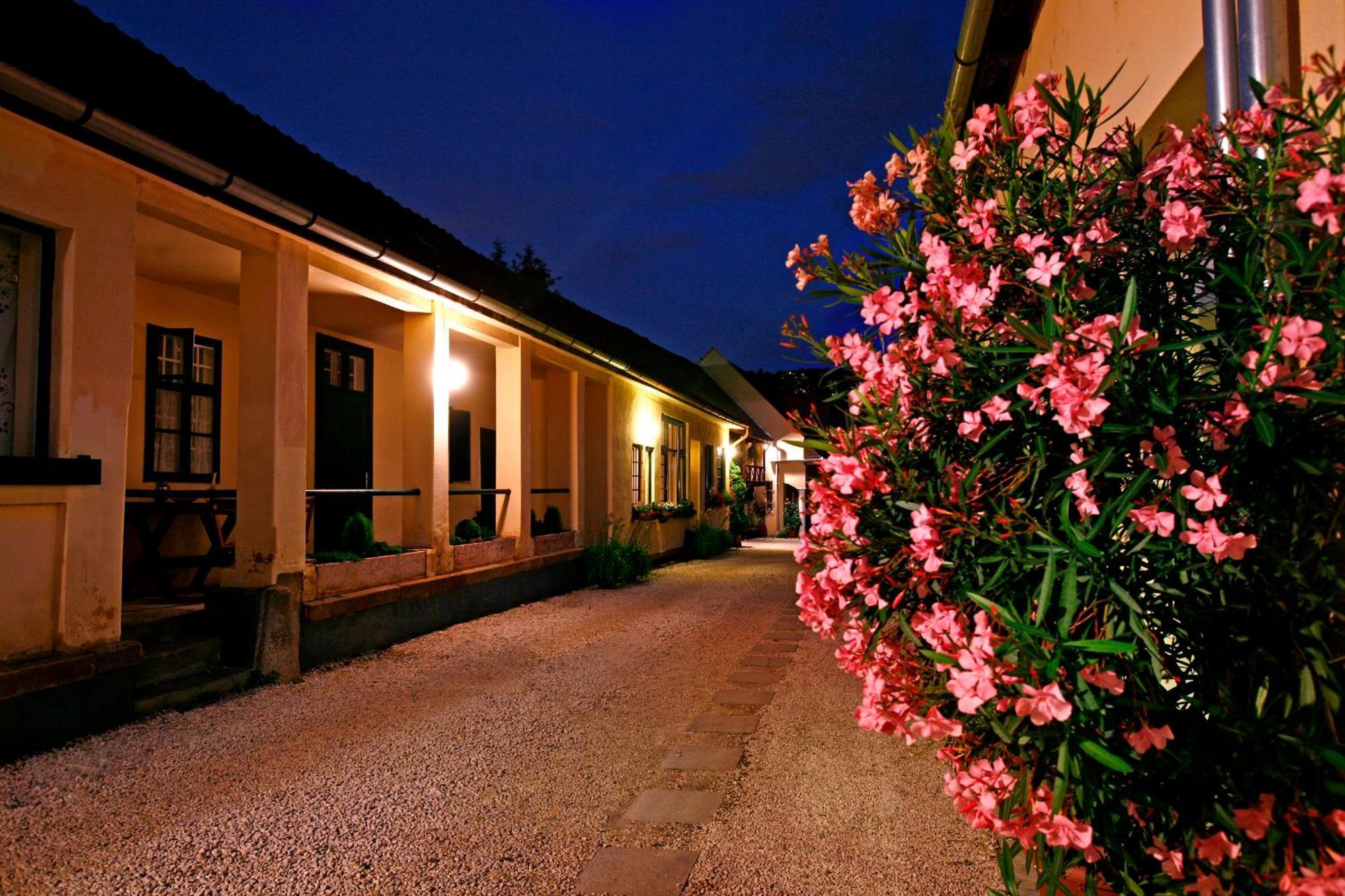 Keszi Panzio Hotel Budakeszi Exterior photo